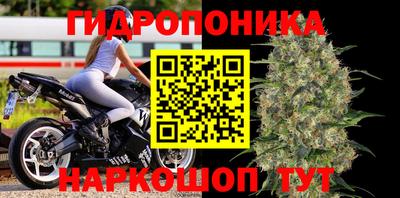 молекула духа Пугачёв