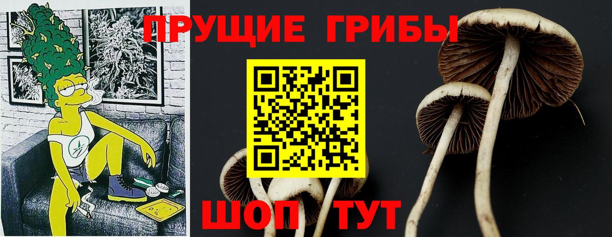 Галлюциногенные грибы мицелий Саров